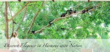 Costa Rica-Guanacaste-Hotel Capitan Suizo - Tamarindo Beach